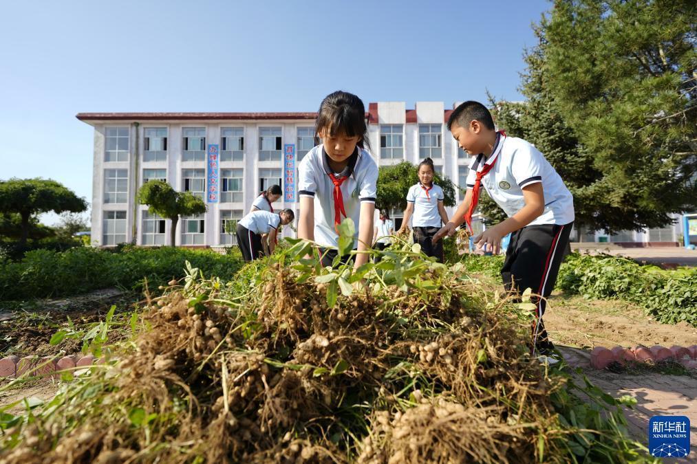汇丰网站游戏